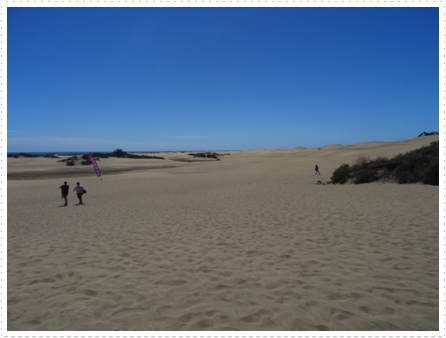 More sand dunes More sand dunes